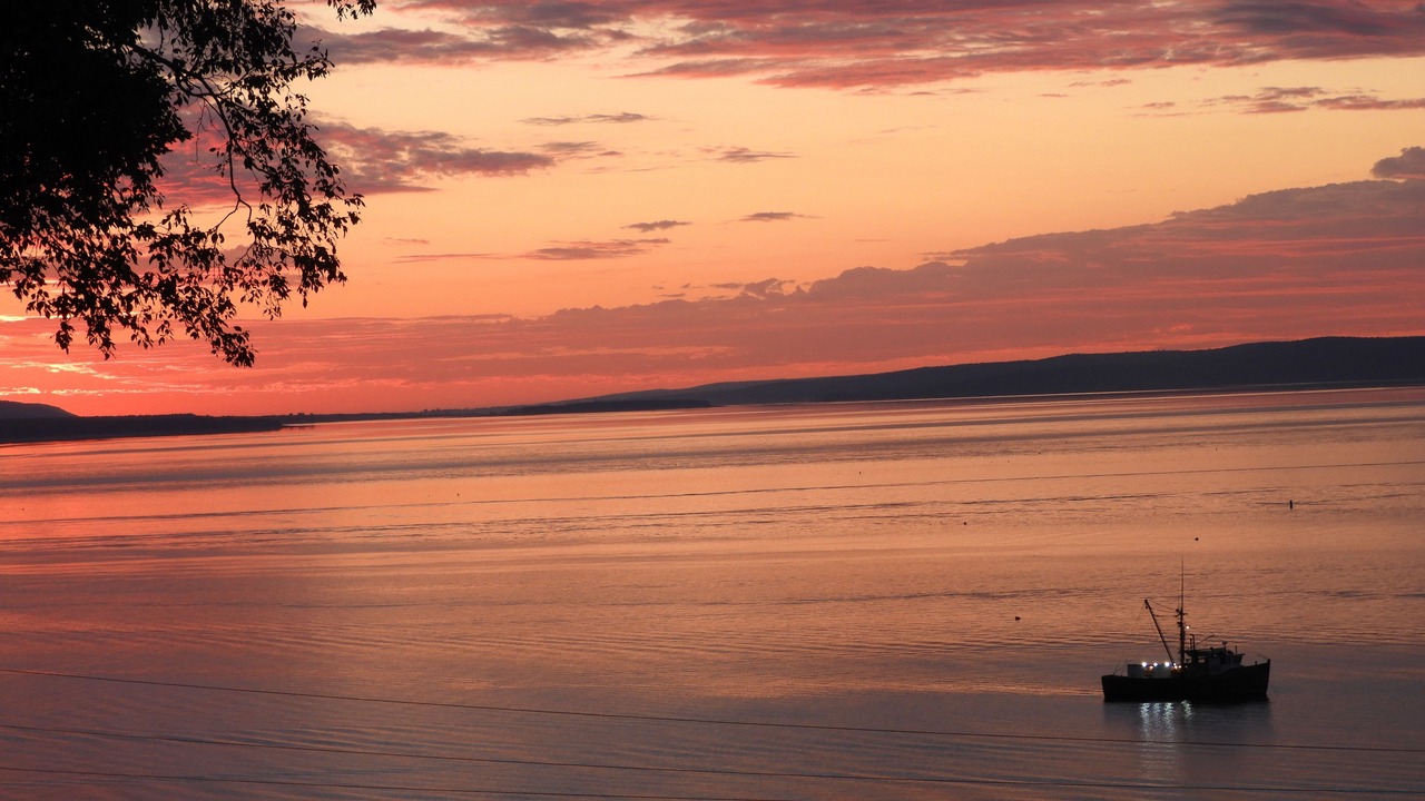 Photo of Others in Digby