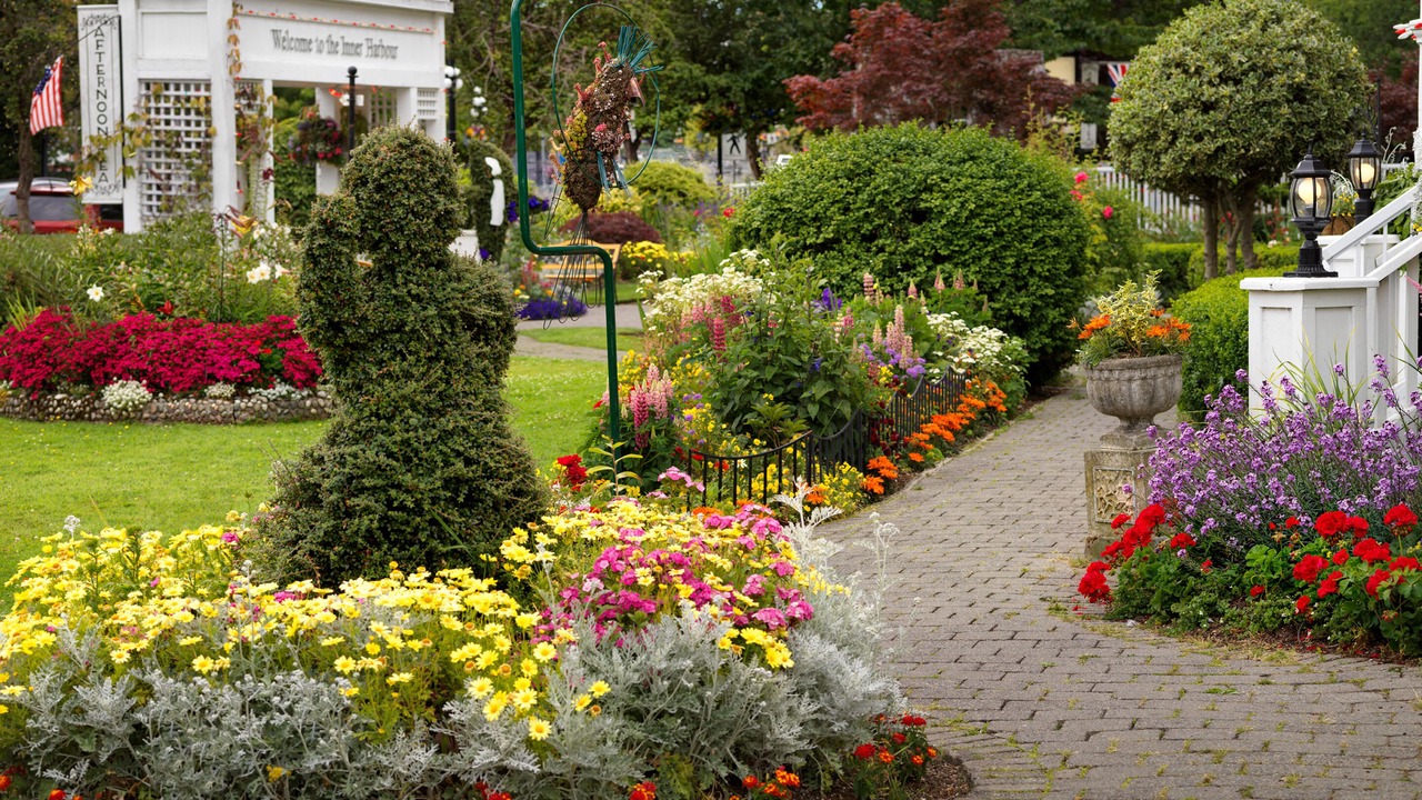 Photo of Outdoor in Inner Harbour