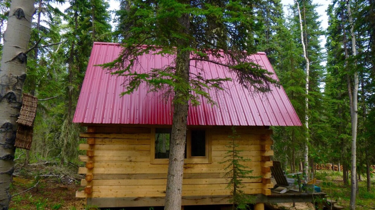 Photo of Outdoor in Marsh Lake