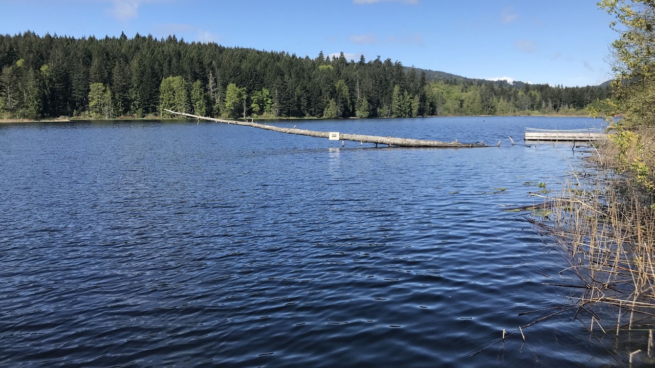 Photo of Outdoor in Salt Spring Island