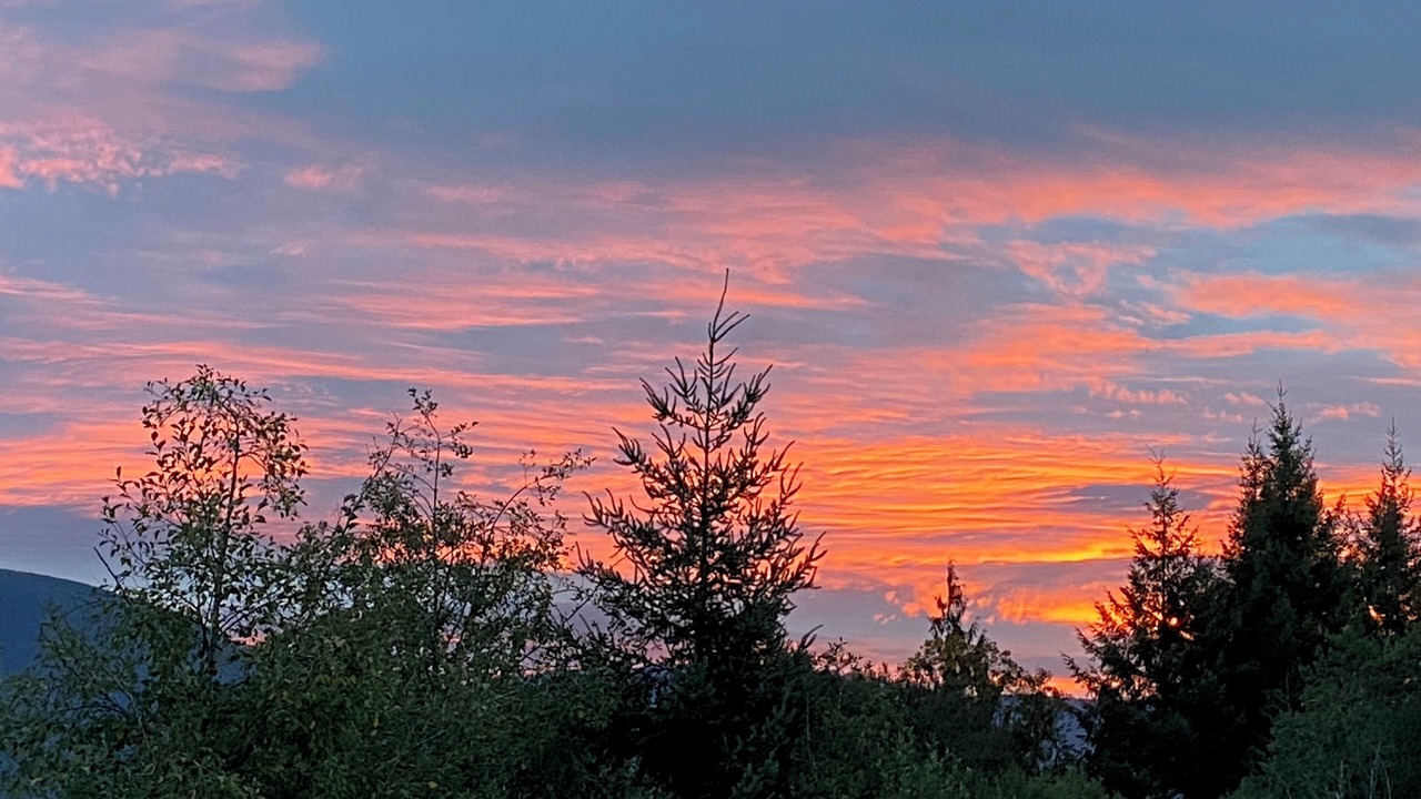 Photo of Others in Lake Cowichan