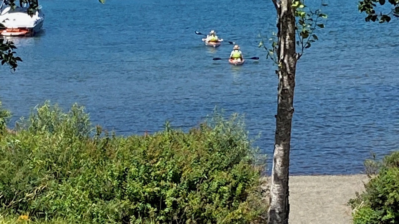 Photo of Others in Lake Cowichan