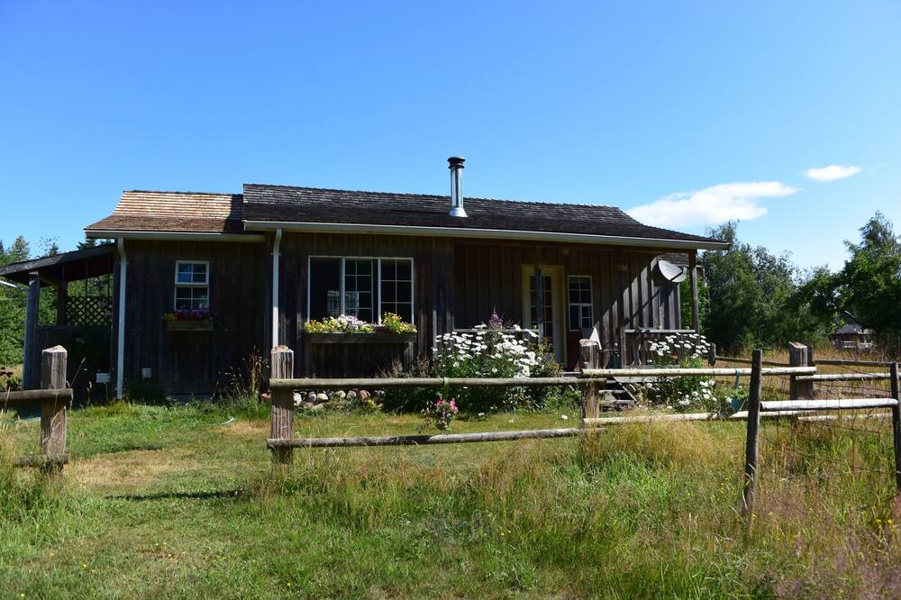 Photo of Others in Courtenay