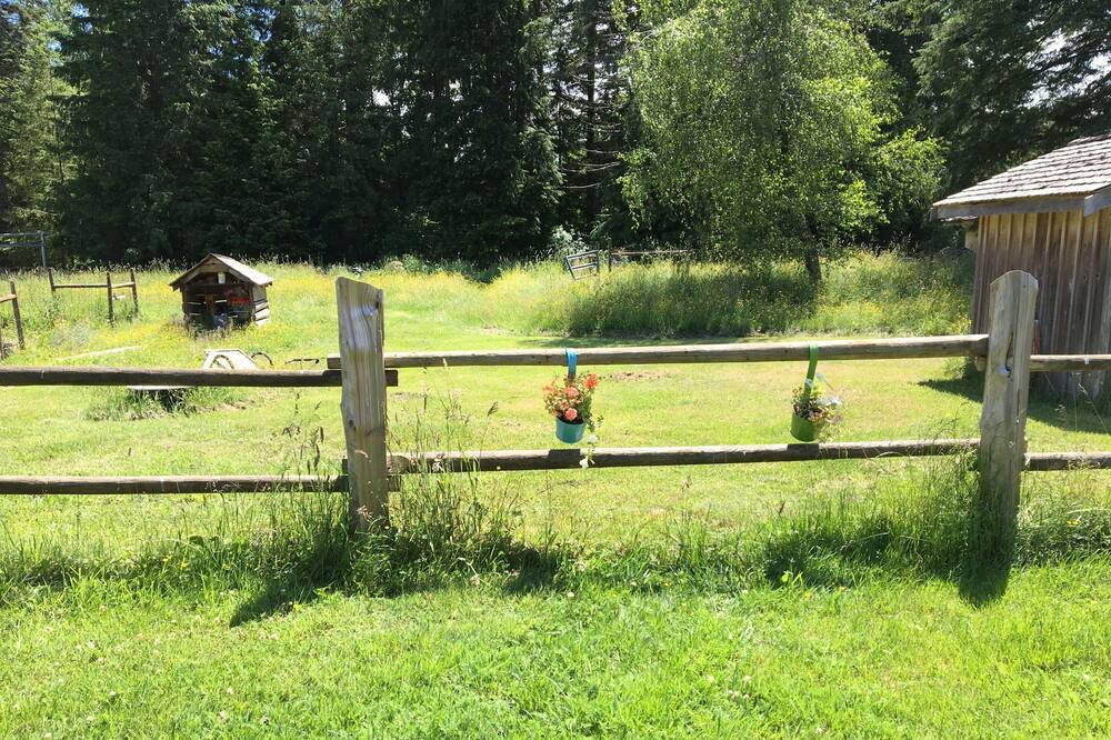 Photo of Others in Courtenay