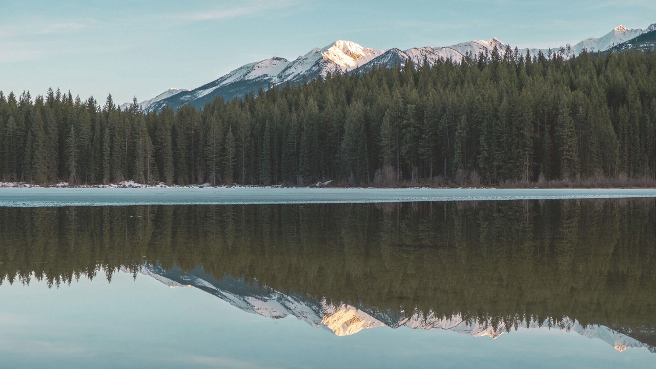 Photo of Outdoor in Golden