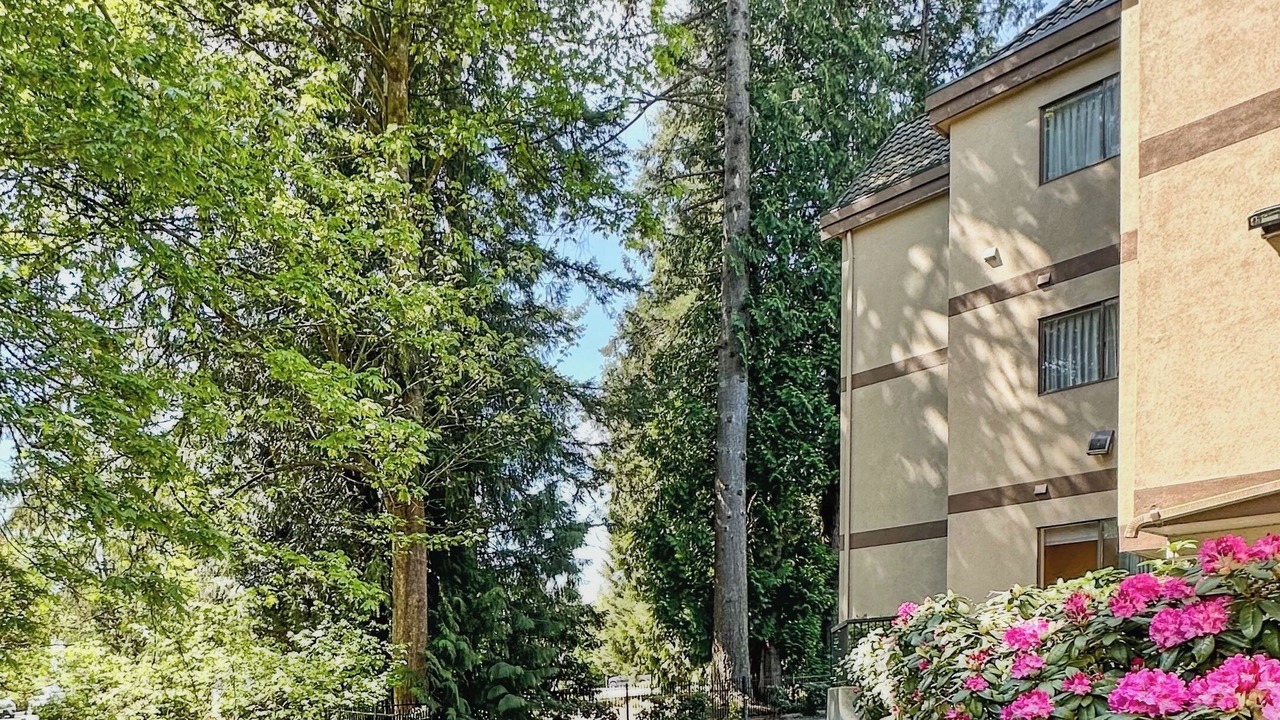 Photo of Outdoor in Newton