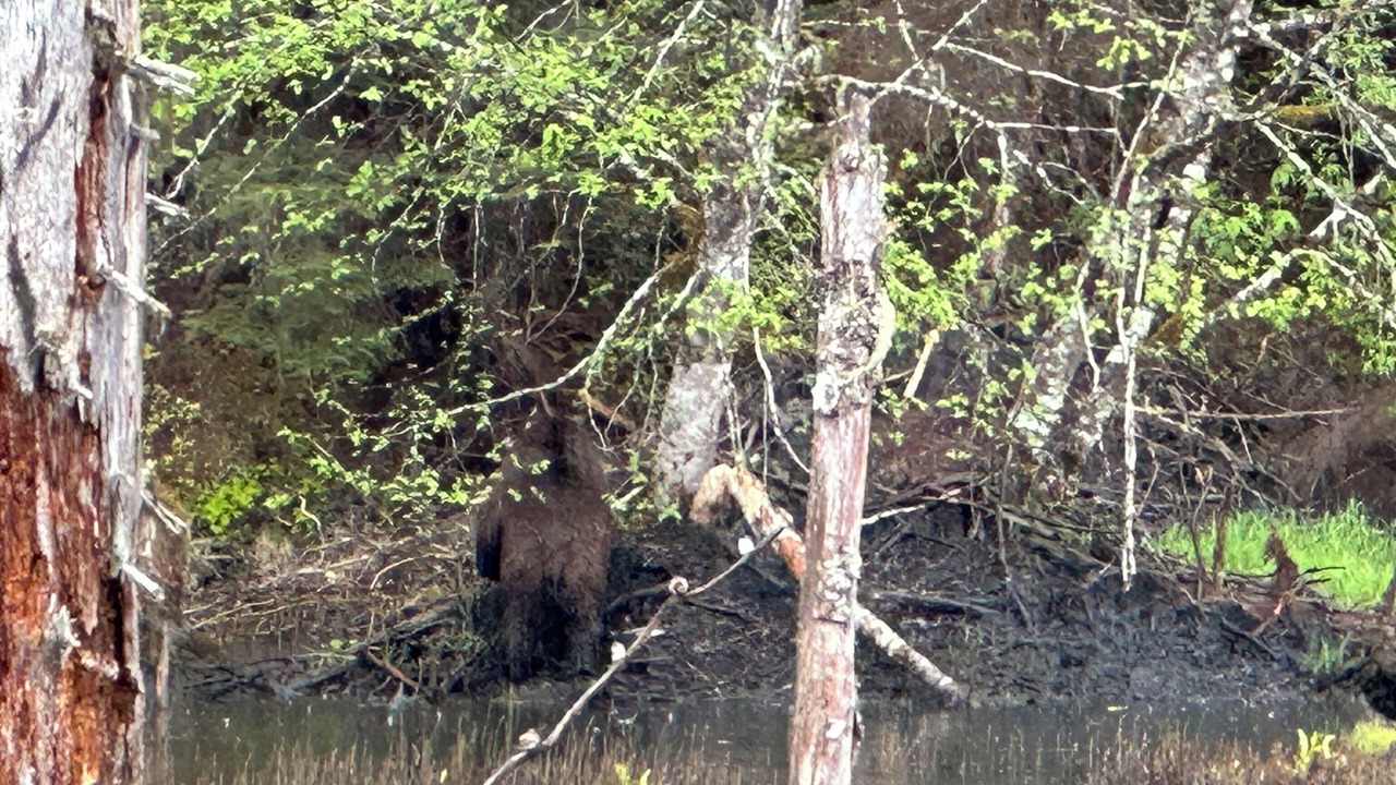 Photo of Outdoor in Stewart