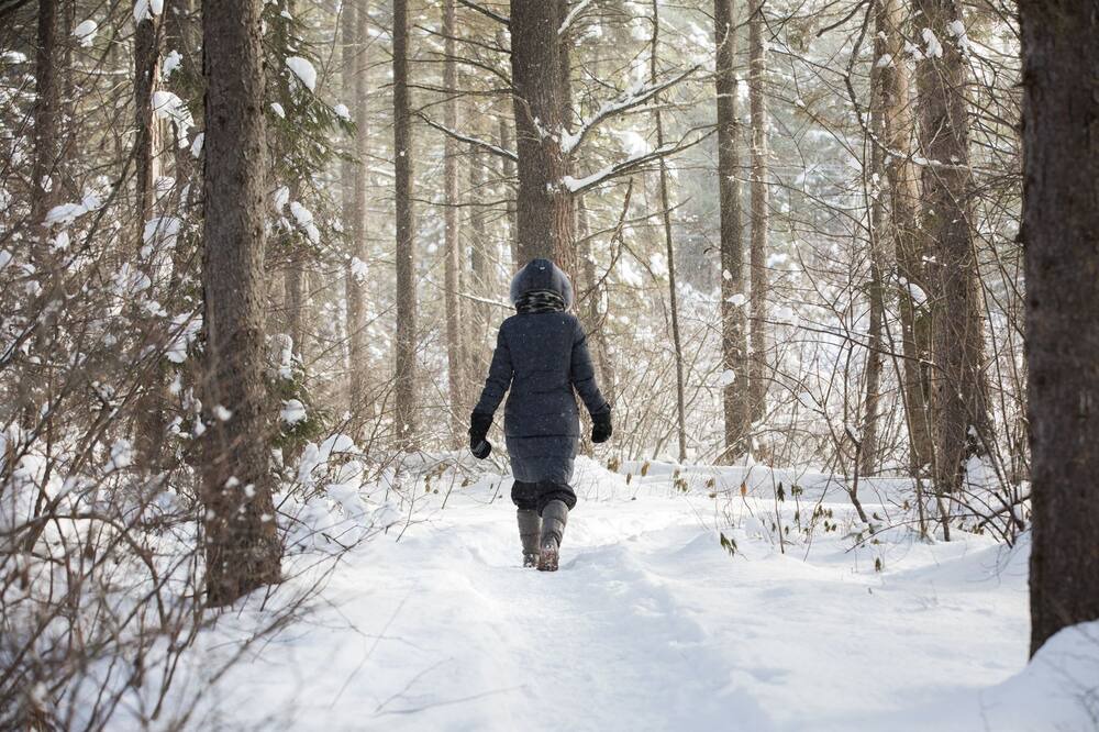 Photo of Others in Lake of Bays