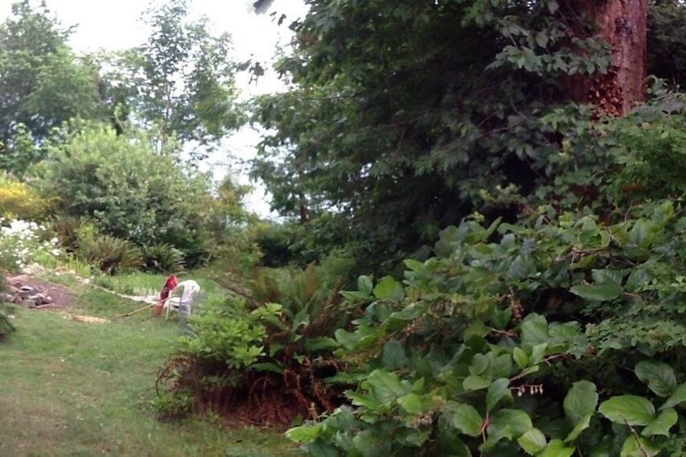 Photo of Others in Gibsons