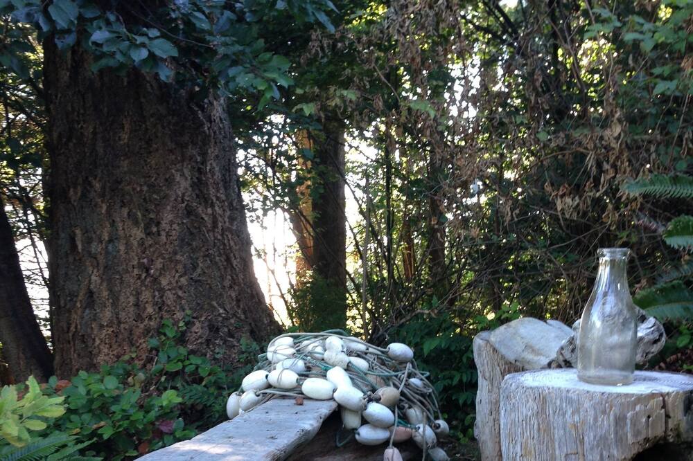 Photo of Outdoor in Gibsons