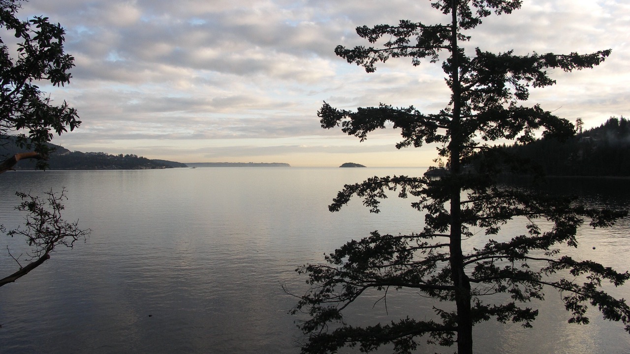 Photo of Others in Bowen Island