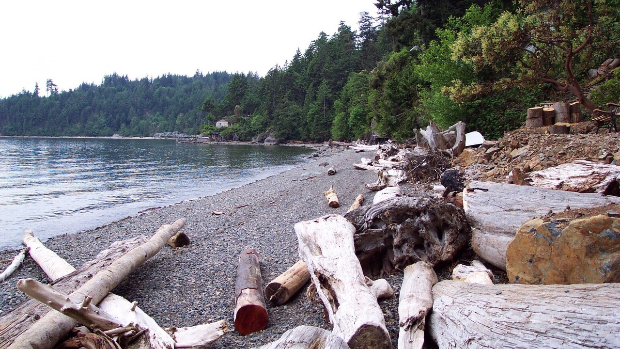 Photo of Others in Bowen Island