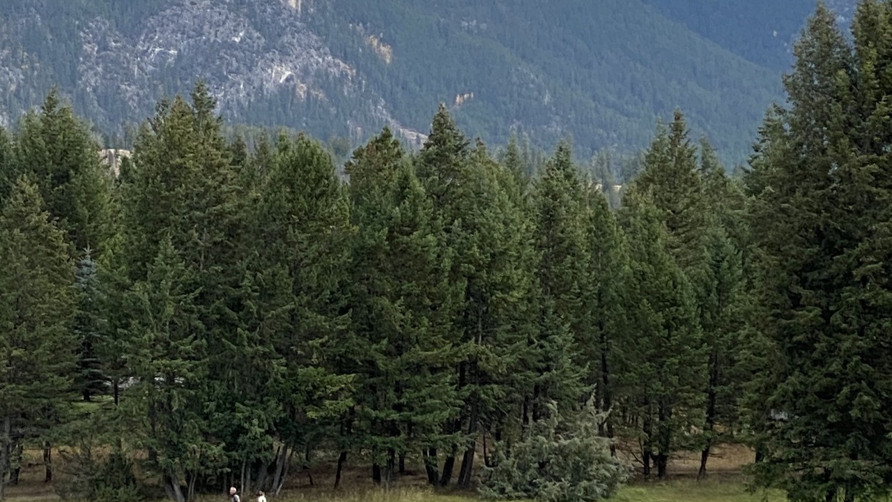 Photo of Others in Radium Hot Springs