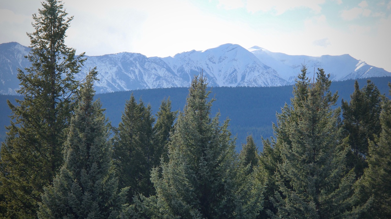 Photo of Patio Balcony in Radium Hot Springs