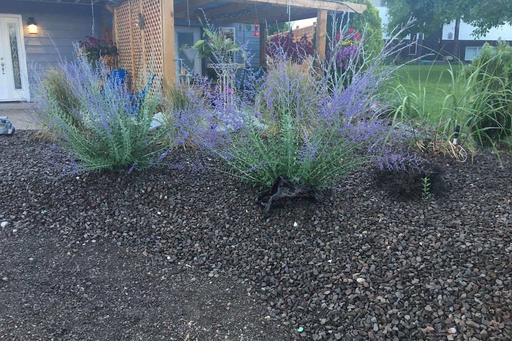 Photo of Outdoor in Osoyoos