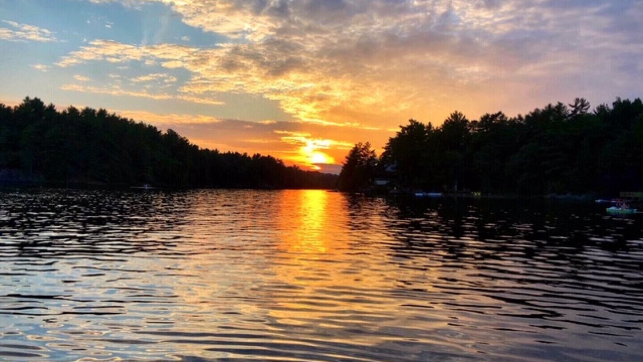 Photo of Others in Muskoka Lakes