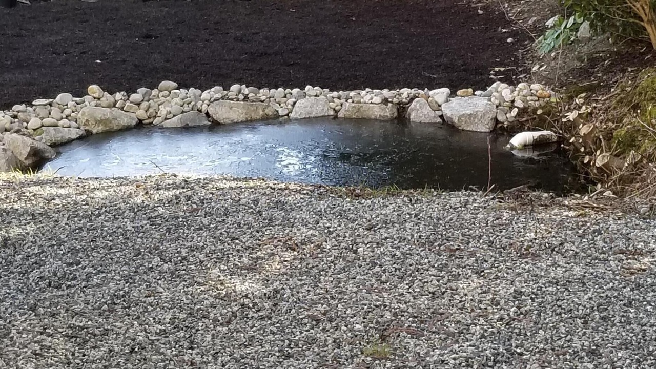 Photo of Outdoor in Roberts Creek