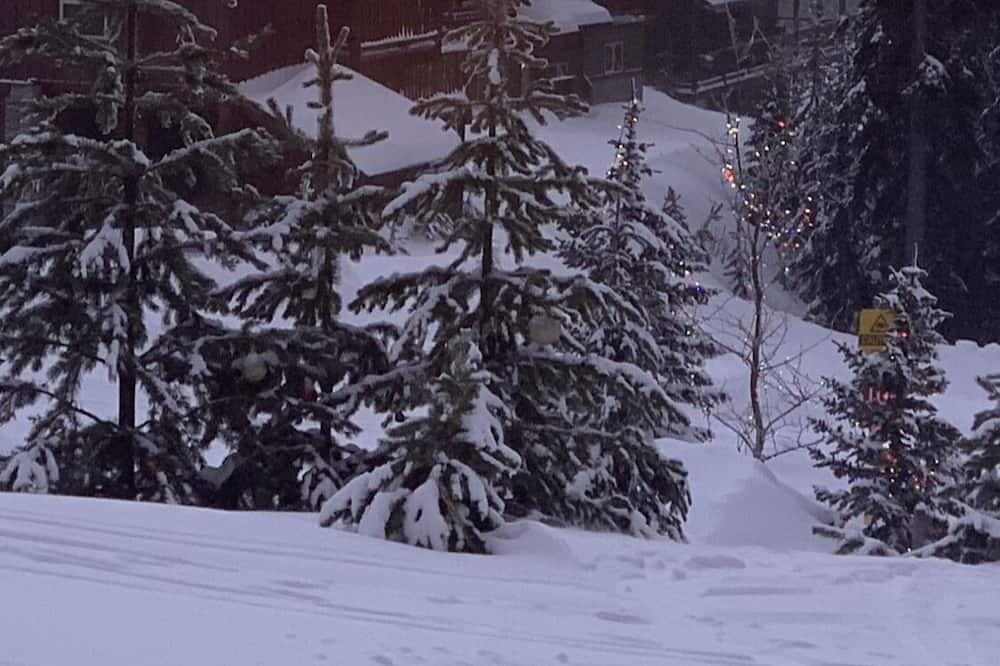 Photo of Others in Apex Mountain