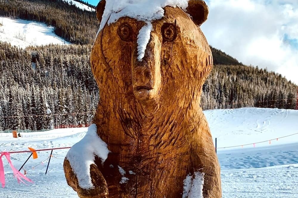 Photo of Others in Apex Mountain