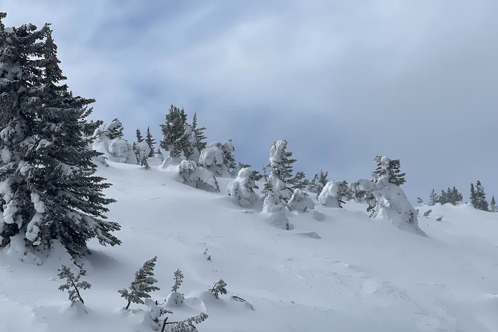 Photo of Others in Apex Mountain