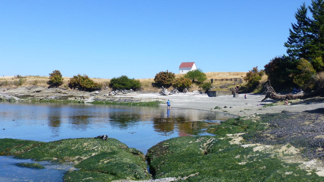 Photo of Others in Saturna Island
