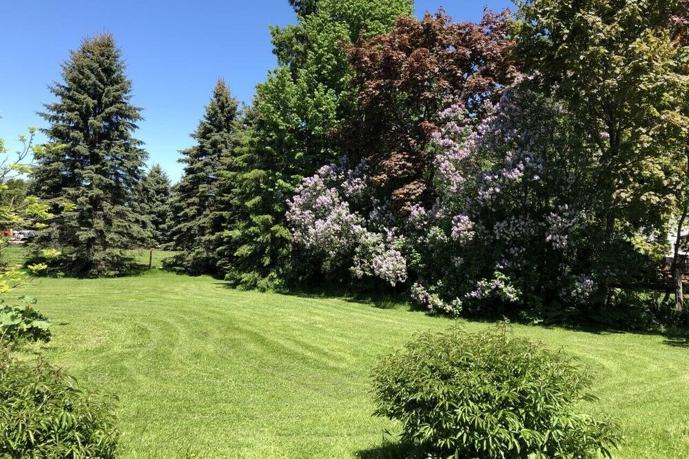 Photo of Outdoor in Oro-Medonte