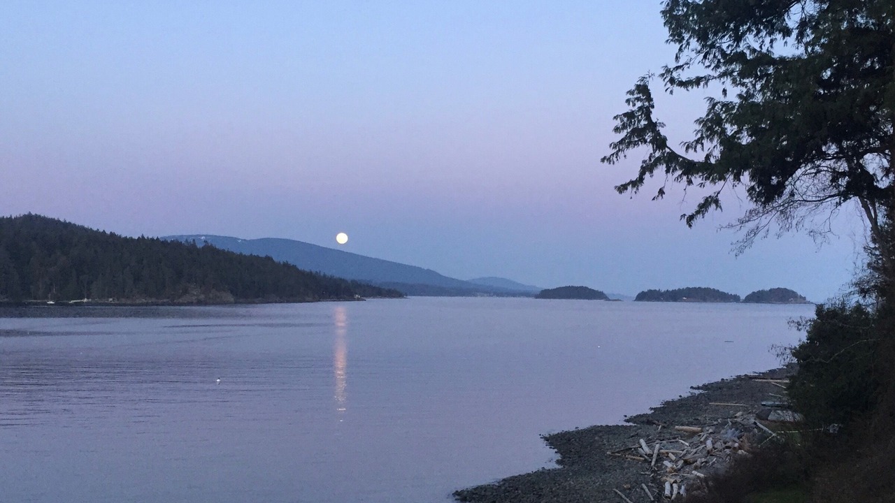Photo of Others in Halfmoon Bay