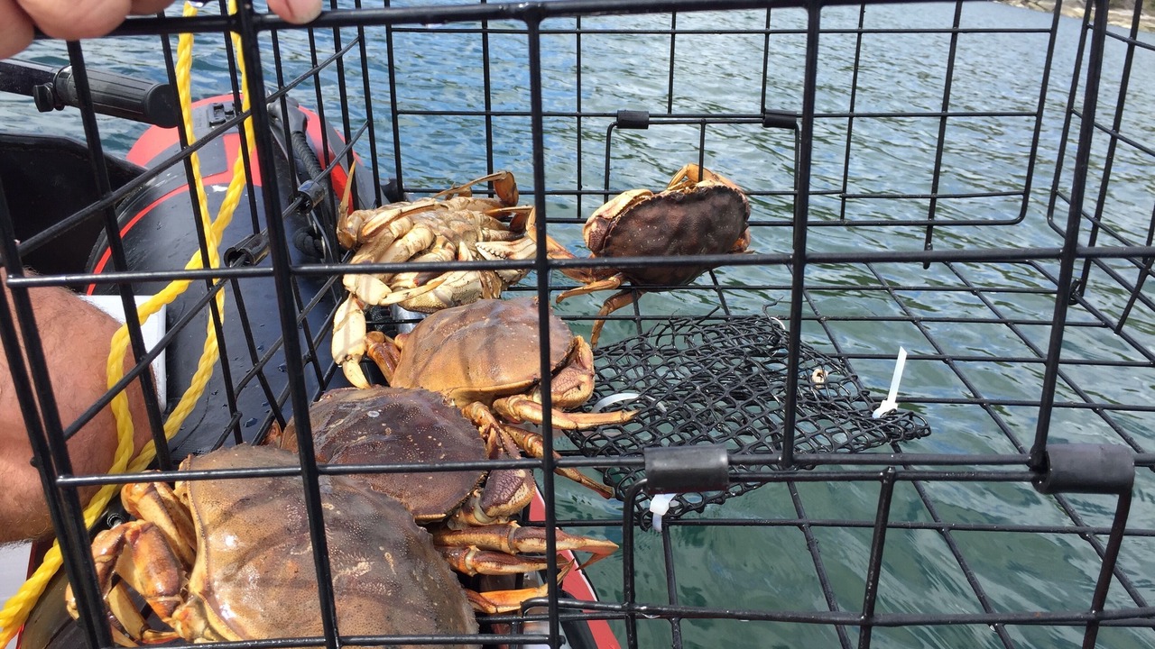 Photo of Outdoor in Halfmoon Bay