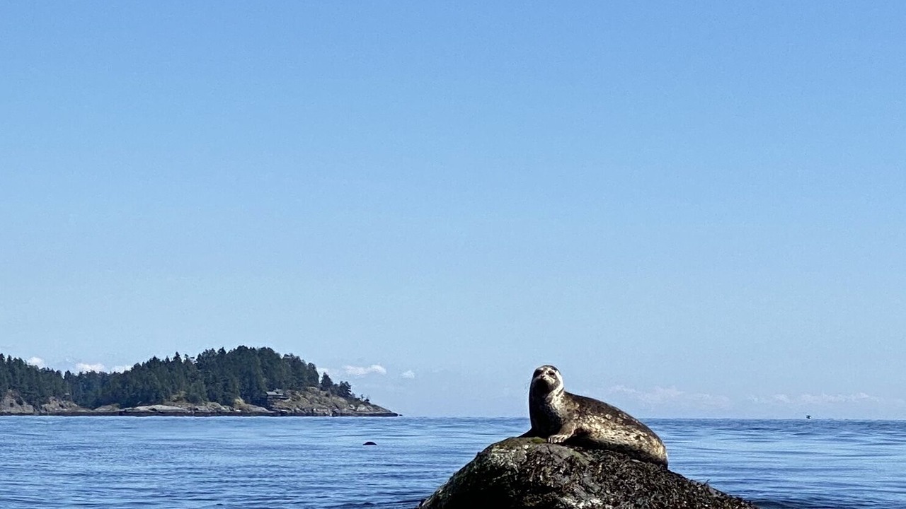 Photo of Others in Halfmoon Bay