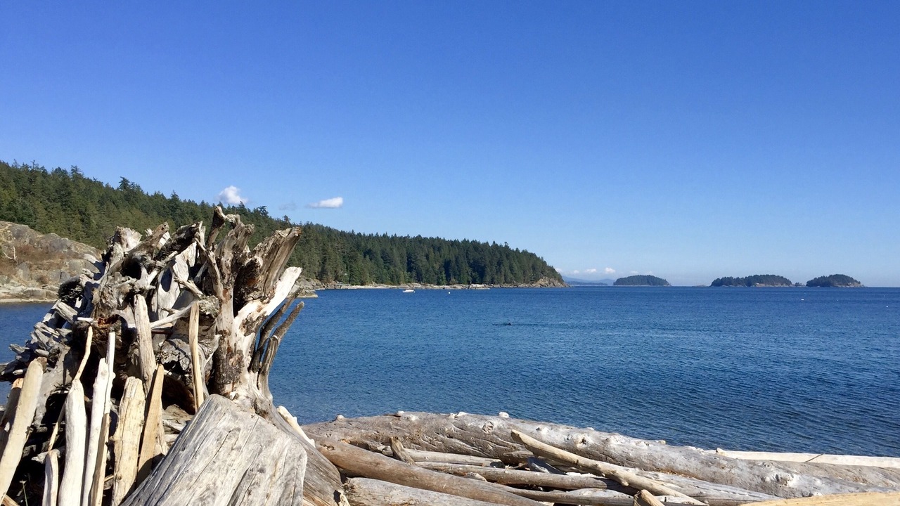 Photo of Others in Halfmoon Bay