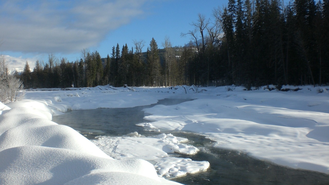 Photo of Others in Fernie