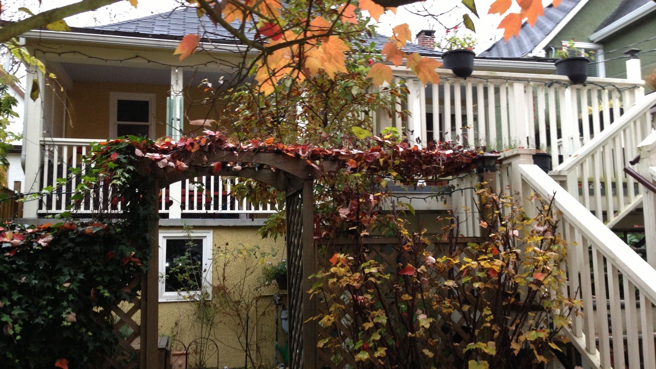 Photo of Outdoor in Grandview-Woodland