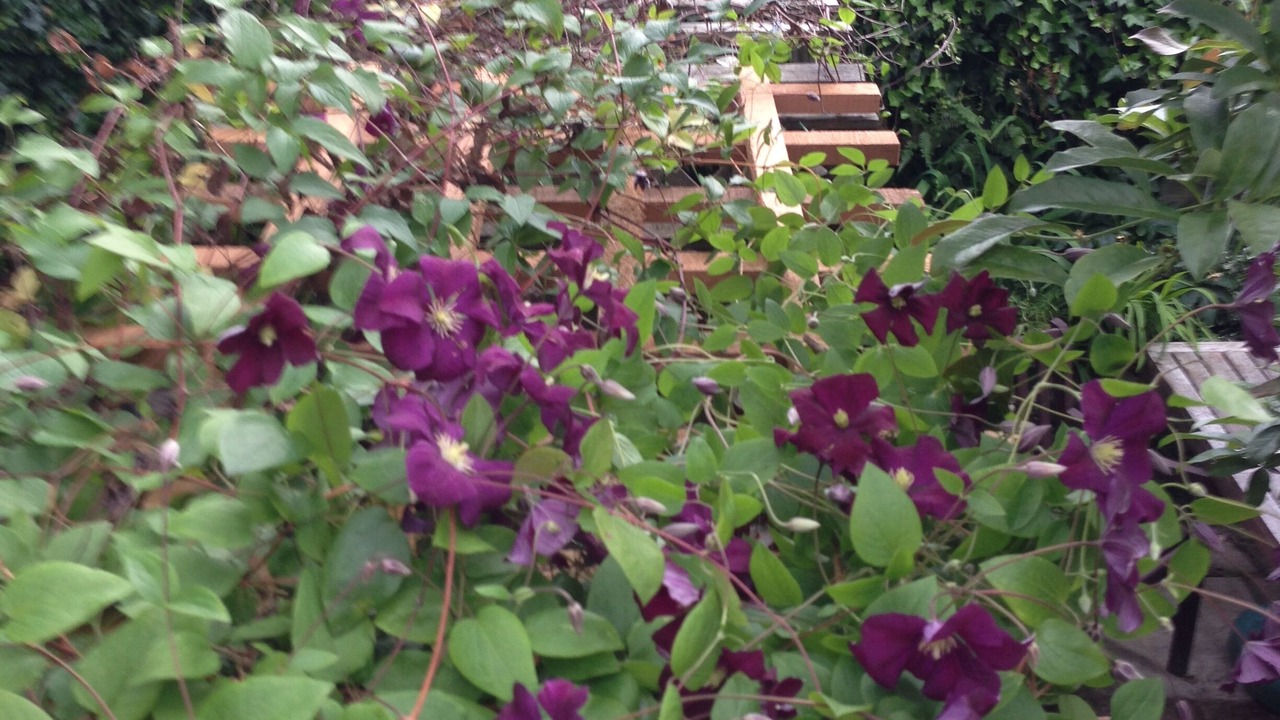 Photo of Outdoor in Grandview-Woodland