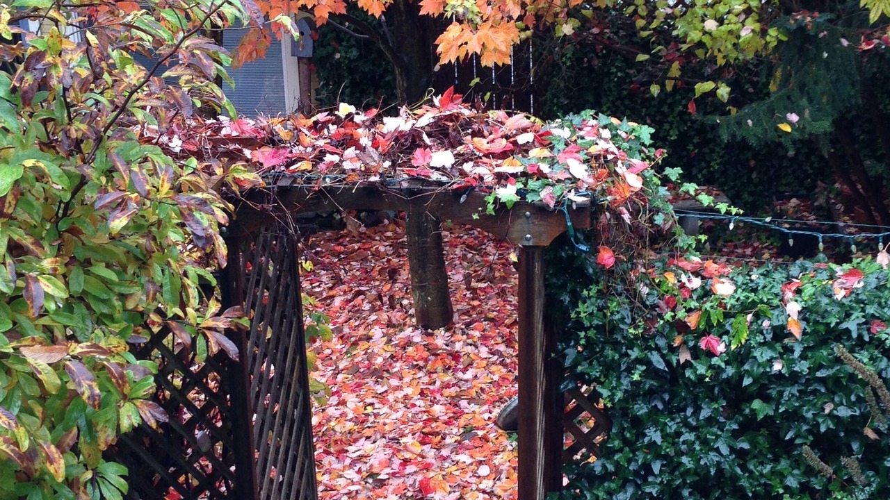 Photo of Outdoor in Grandview-Woodland