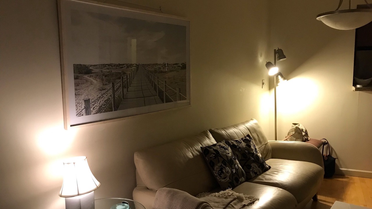 Photo of Livingroom in Downtown Victoria