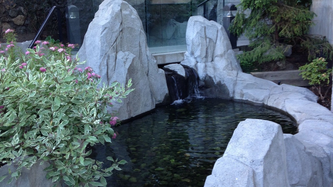Photo of Outdoor in Downtown Victoria
