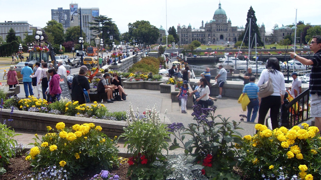 Photo of Others in Downtown Victoria