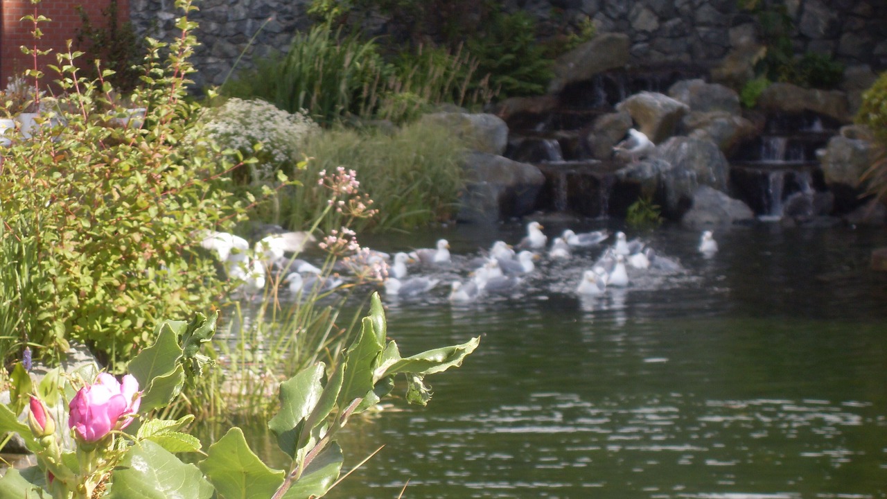 Photo of Outdoor in Downtown Victoria