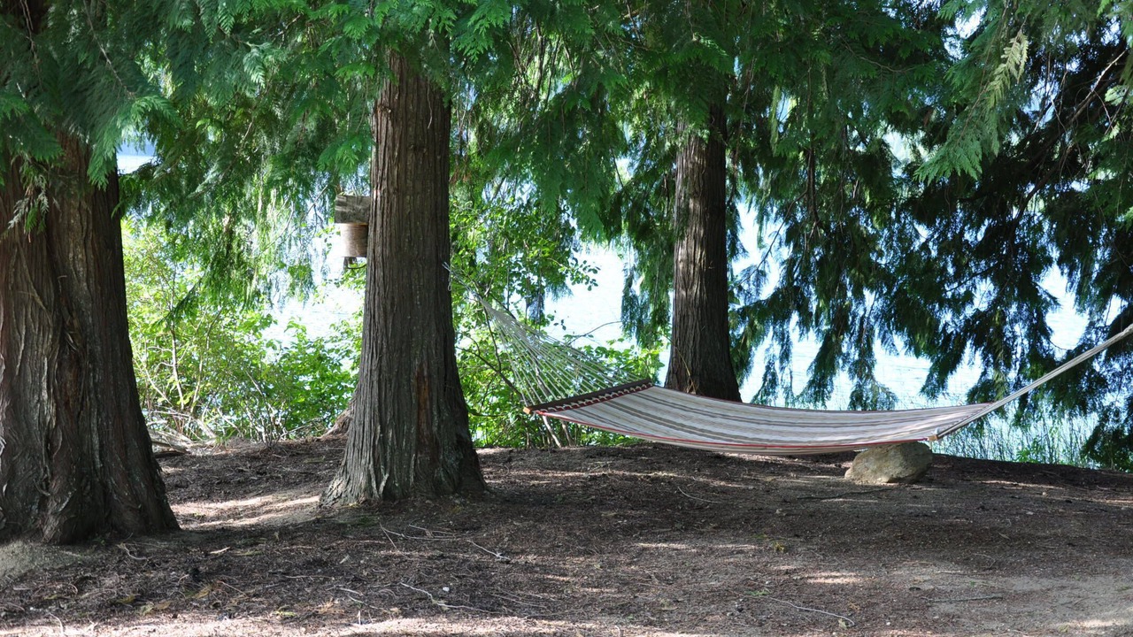 Photo of Outdoor in Blind Bay