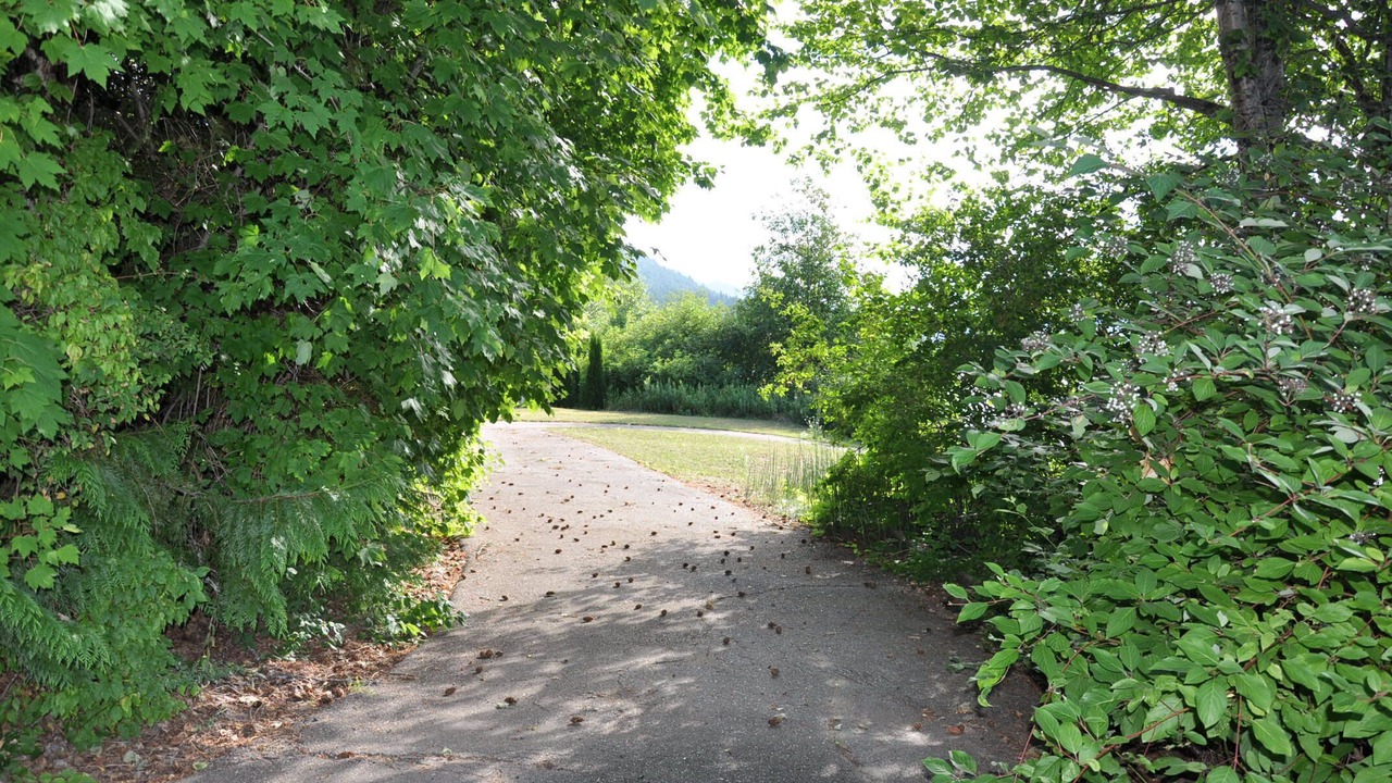 Photo of Outdoor in Blind Bay