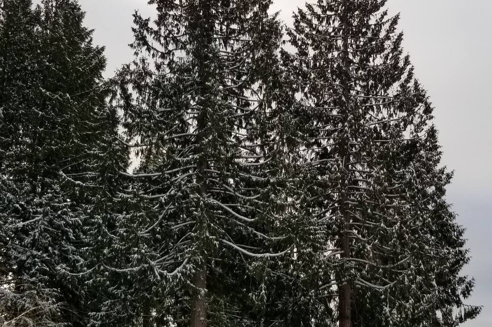 Photo of Outdoor in Roberts Creek