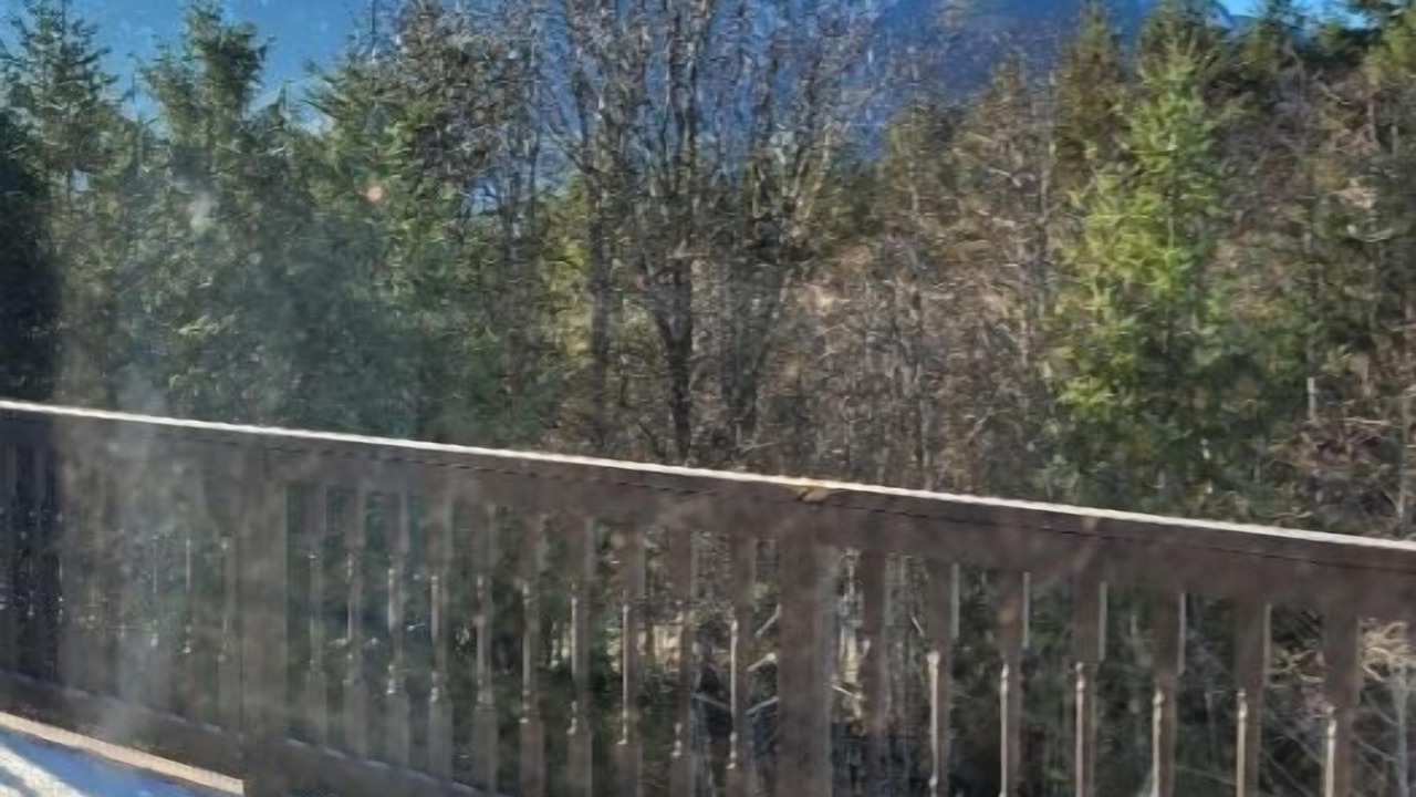 Photo of Outdoor in Gold River