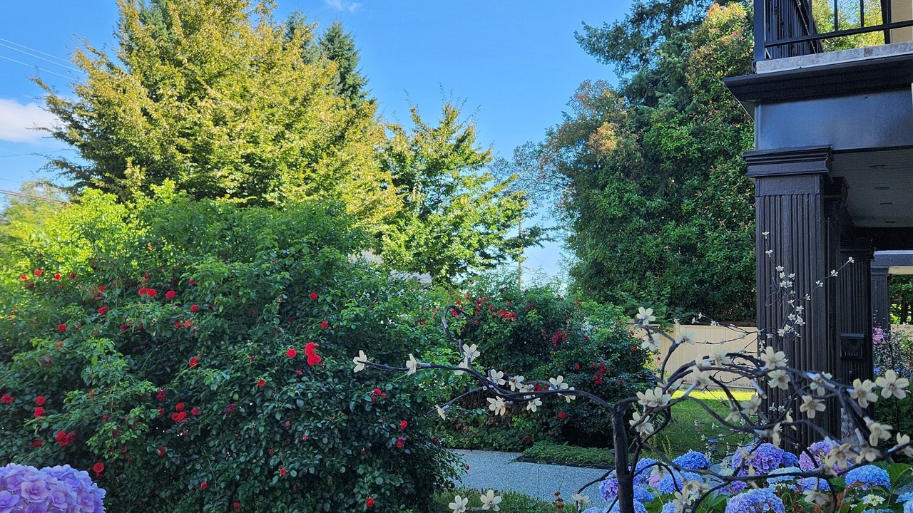 Photo of Outdoor in Surrey
