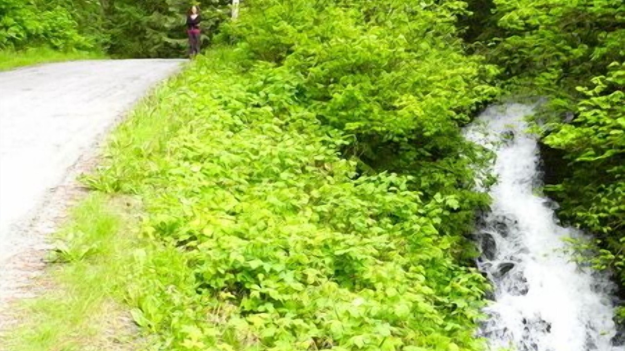 Photo of Outdoor in Cultus Lake