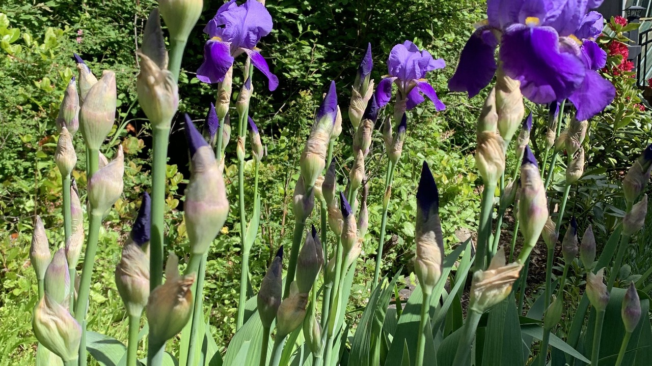 Photo of Outdoor in Salt Spring Island