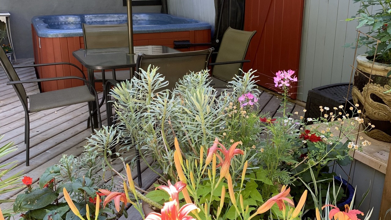 Photo of Outdoor in Salt Spring Island