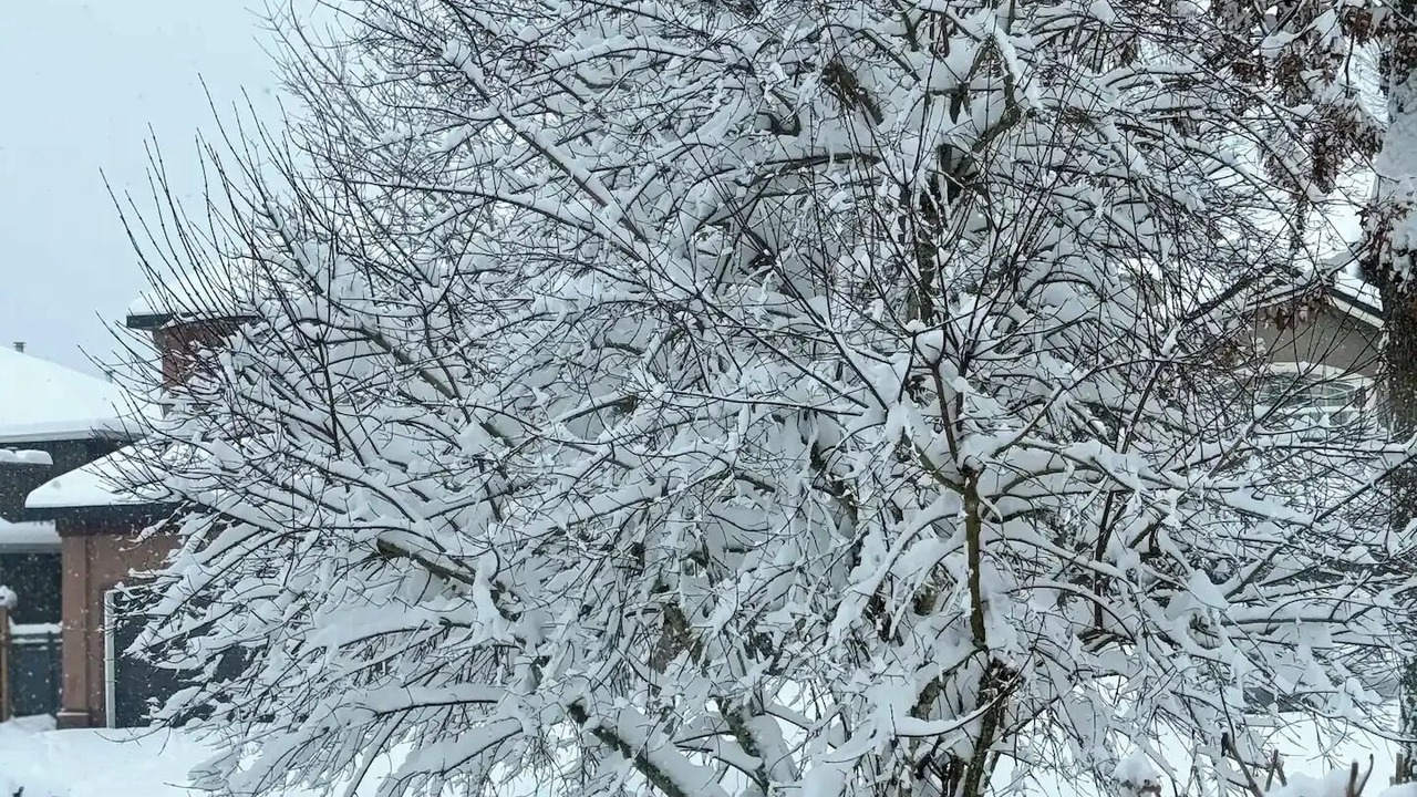 Photo of Outdoor in Fleetwood