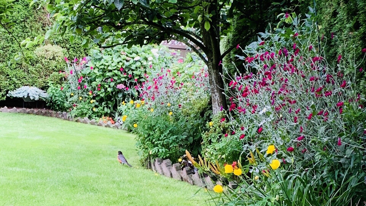 Photo of Outdoor in Richmond