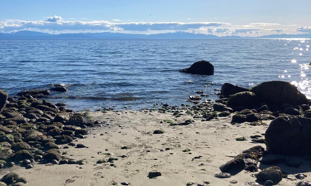 Photo of Others in Davis Bay