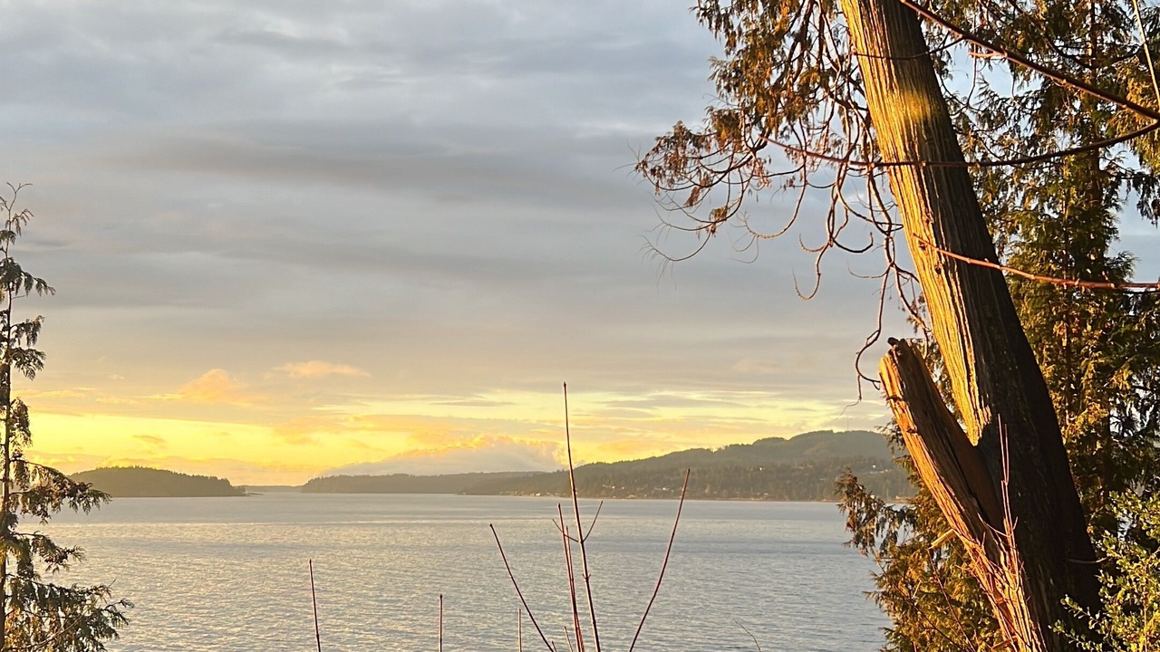 Photo of Others in Davis Bay